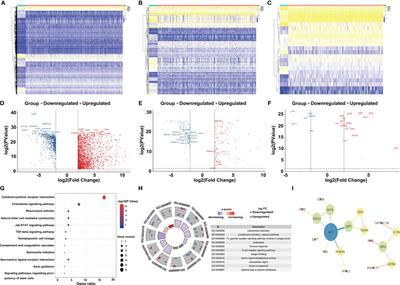 TNFRSF11B Suppresses Memory CD4+ T Cell Infiltration in the Colon Cancer Microenvironment: A Multiomics Integrative Analysis